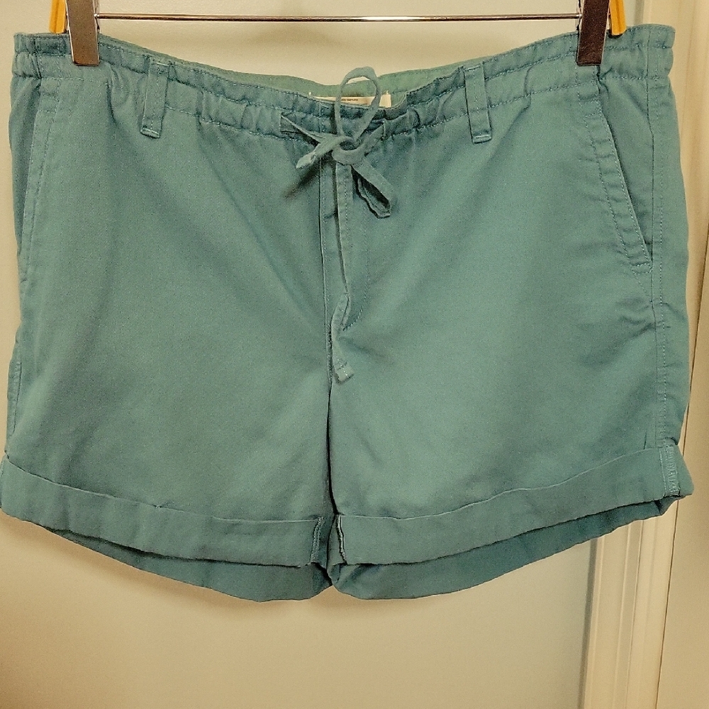 Ann Taylor LOFT Seafoam Green- Blue Sinched Waist Shorts Sz 10